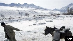 Leading a donkey to water outside the Kyrgyz capital, Bishkek