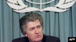 Bosnian Serb leader Radovan Karadzic in 1993