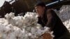 Cotton makes up one-quarter of Uzbekistan's GDP. (file photo)